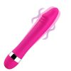 Sex Toys for Women: Various Types and Features_1