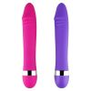 Sex Toys for Women: Various Types and Features_6