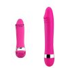 Sex Toys for Women: Various Types and Features_3