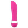 Sex Toys for Women: Various Types and Features_11