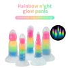 EPEPKIB Luminous Rainbow Realistic Sex Toys for Women_1