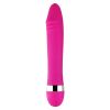 Sex Toys for Women: Various Types and Features_24