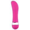 Sex Toys for Women: Various Types and Features_8